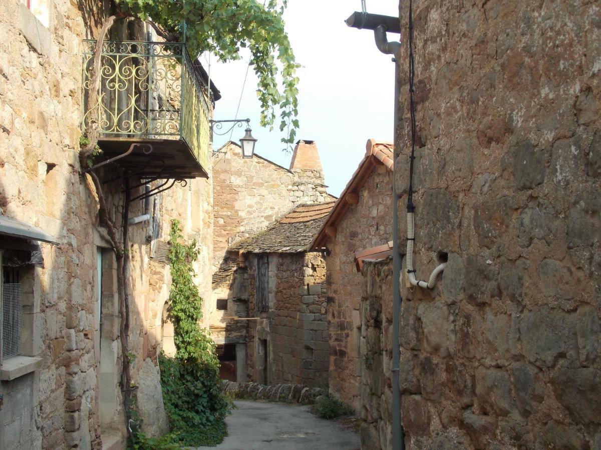 Le Cintrium Bed & Breakfast Viala-du-Tarn Bagian luar foto