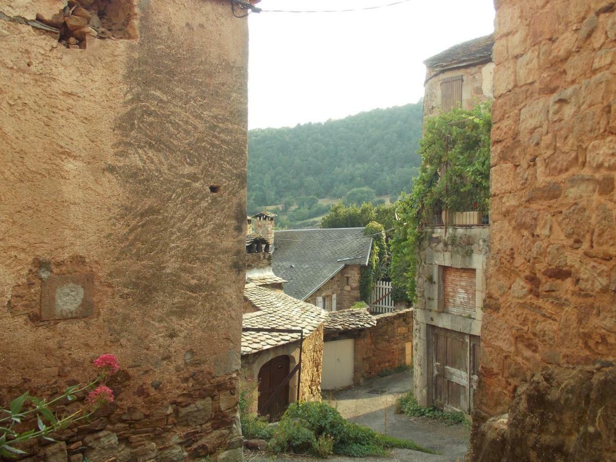 Le Cintrium Bed & Breakfast Viala-du-Tarn Bagian luar foto